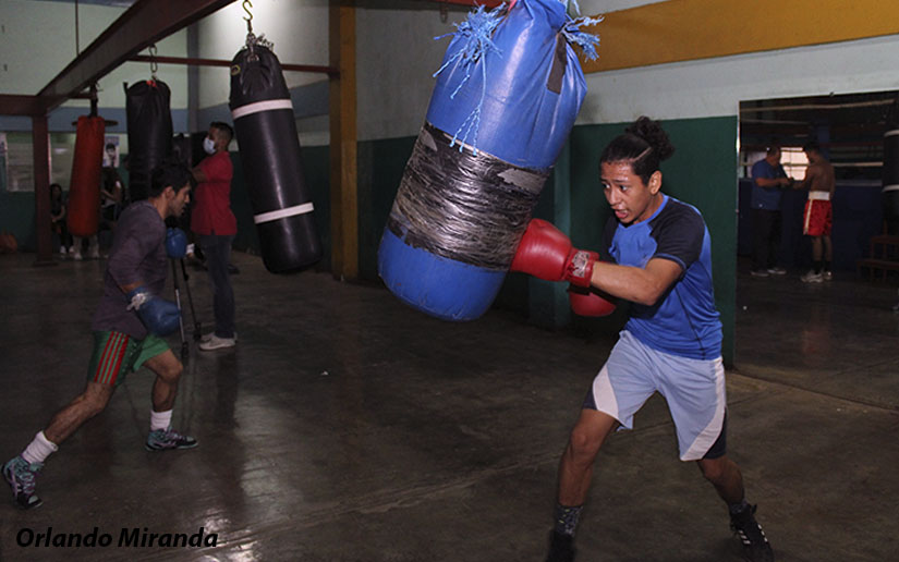 BOXEO
